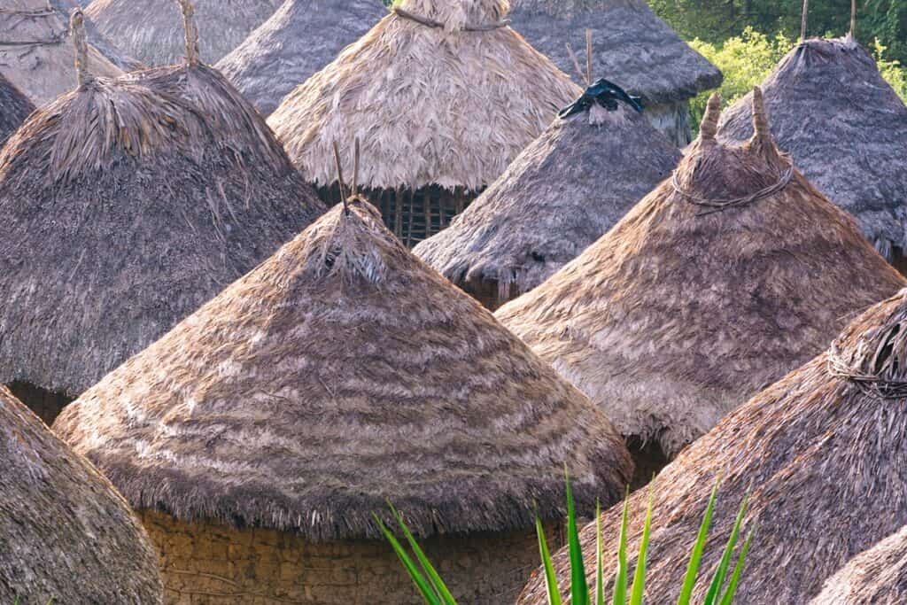 toits de maisons traditionnelles Kogis