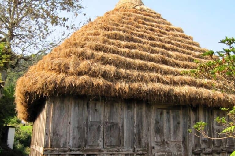 Les maisons vernaculaires au toit de chaume du CapVert — free download