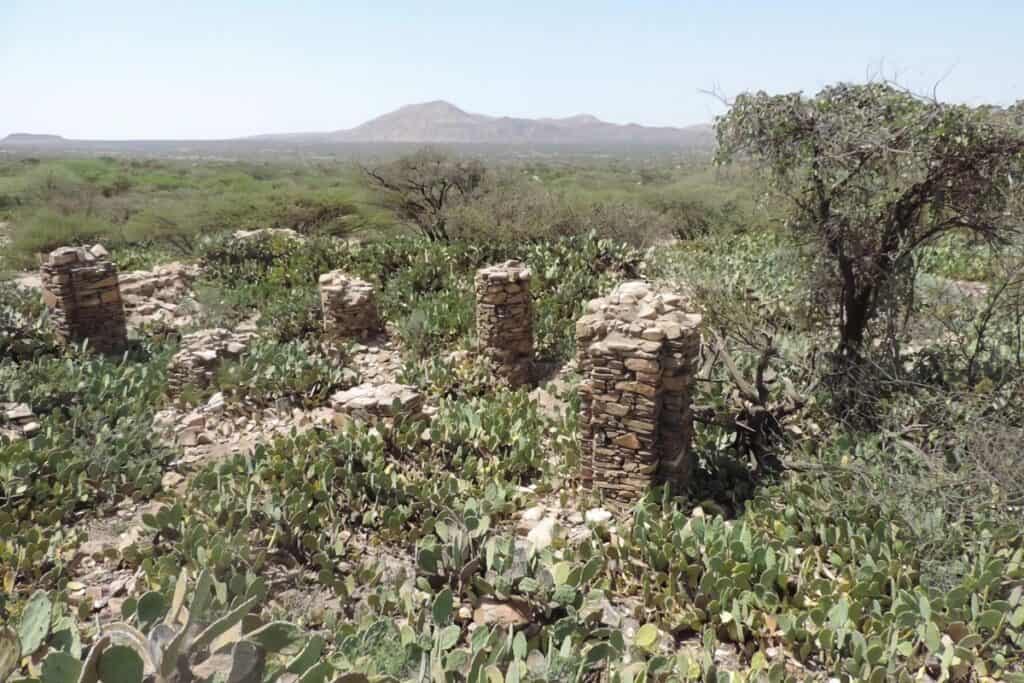 ruines d'Abasa