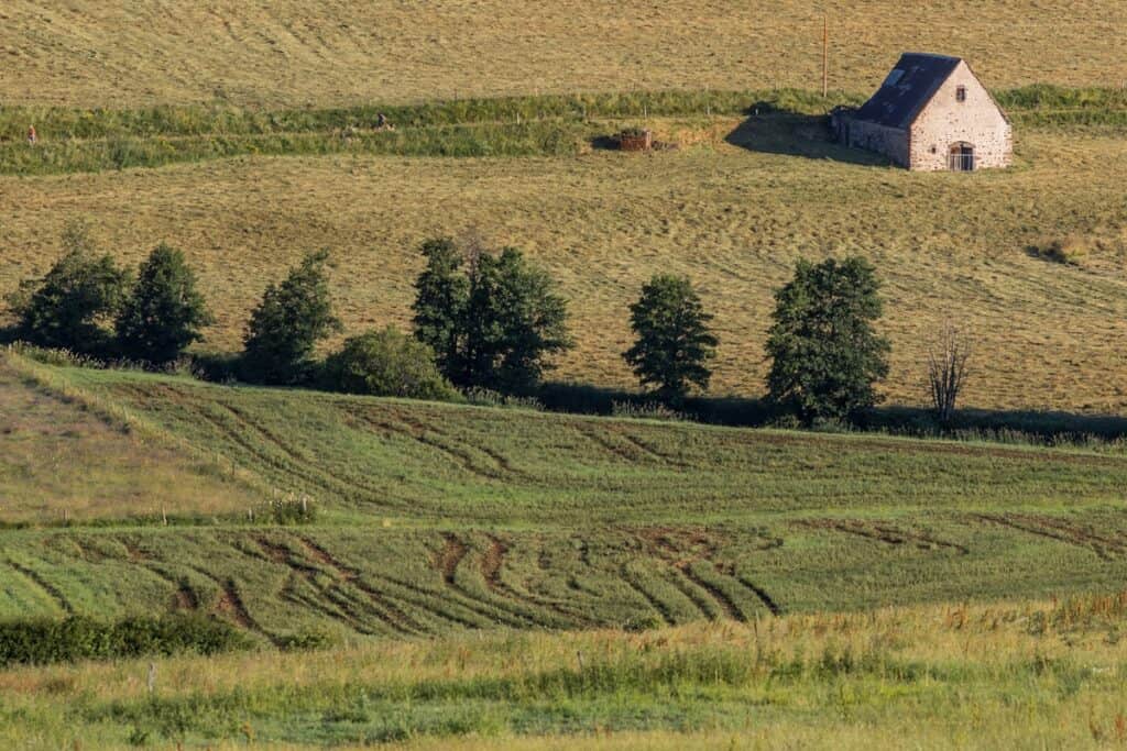 buron traditionnel en pierre du Cantal sur les grands espaces du plateau du Limon