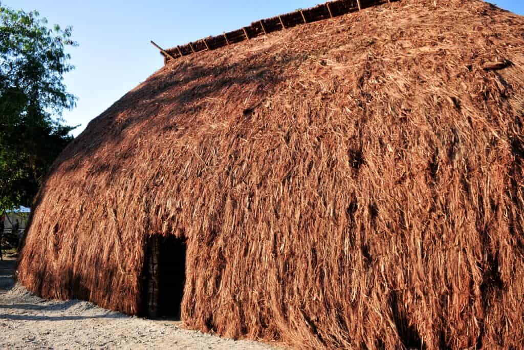 hutte vernaculaire brésilienne