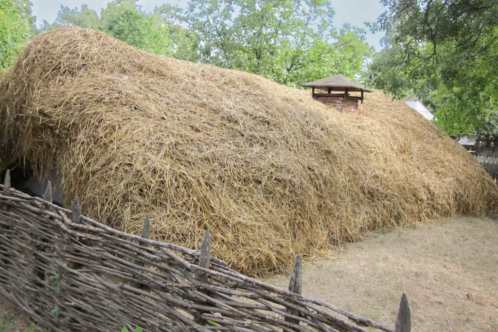 toit de chaume d'un bordei