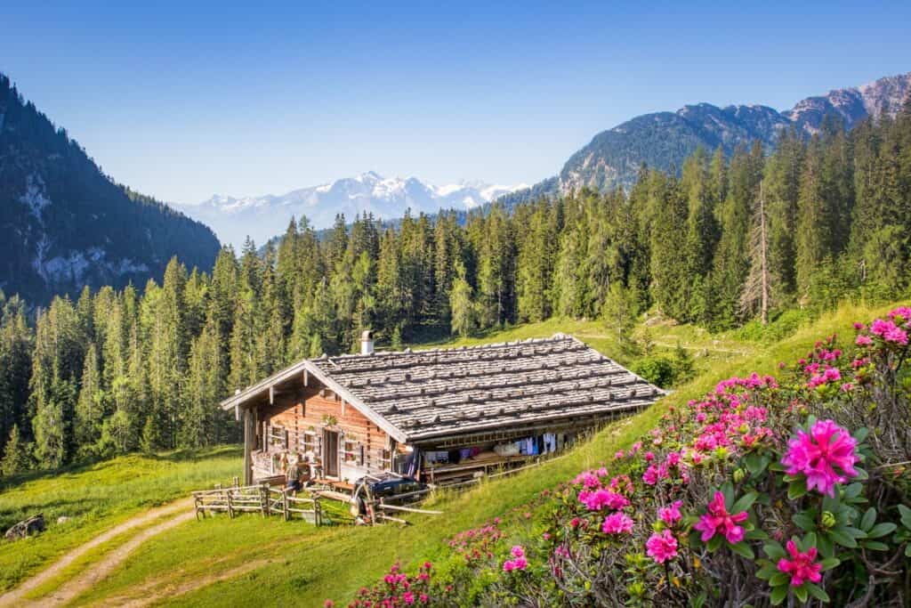 chalet en bois dans la nature autrichienne