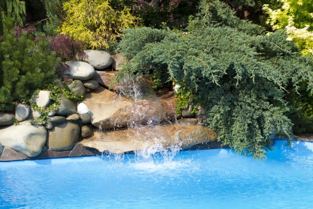 plantes autour d'une piscine