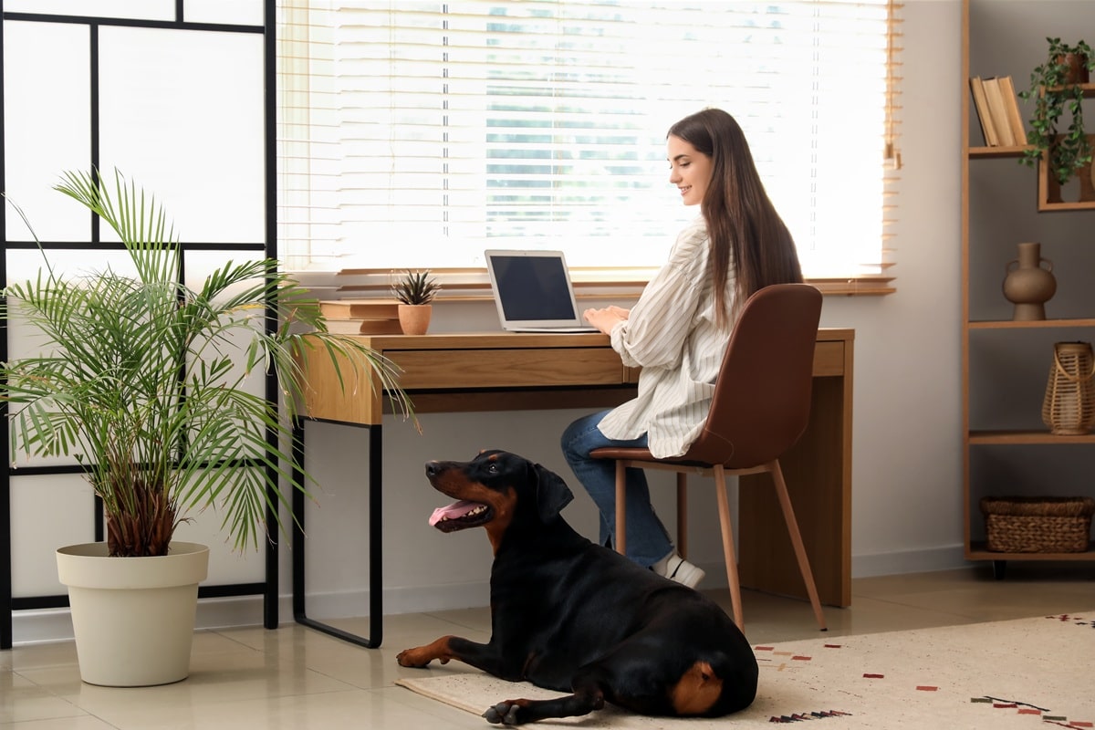 Aménager un bureau à domicile
