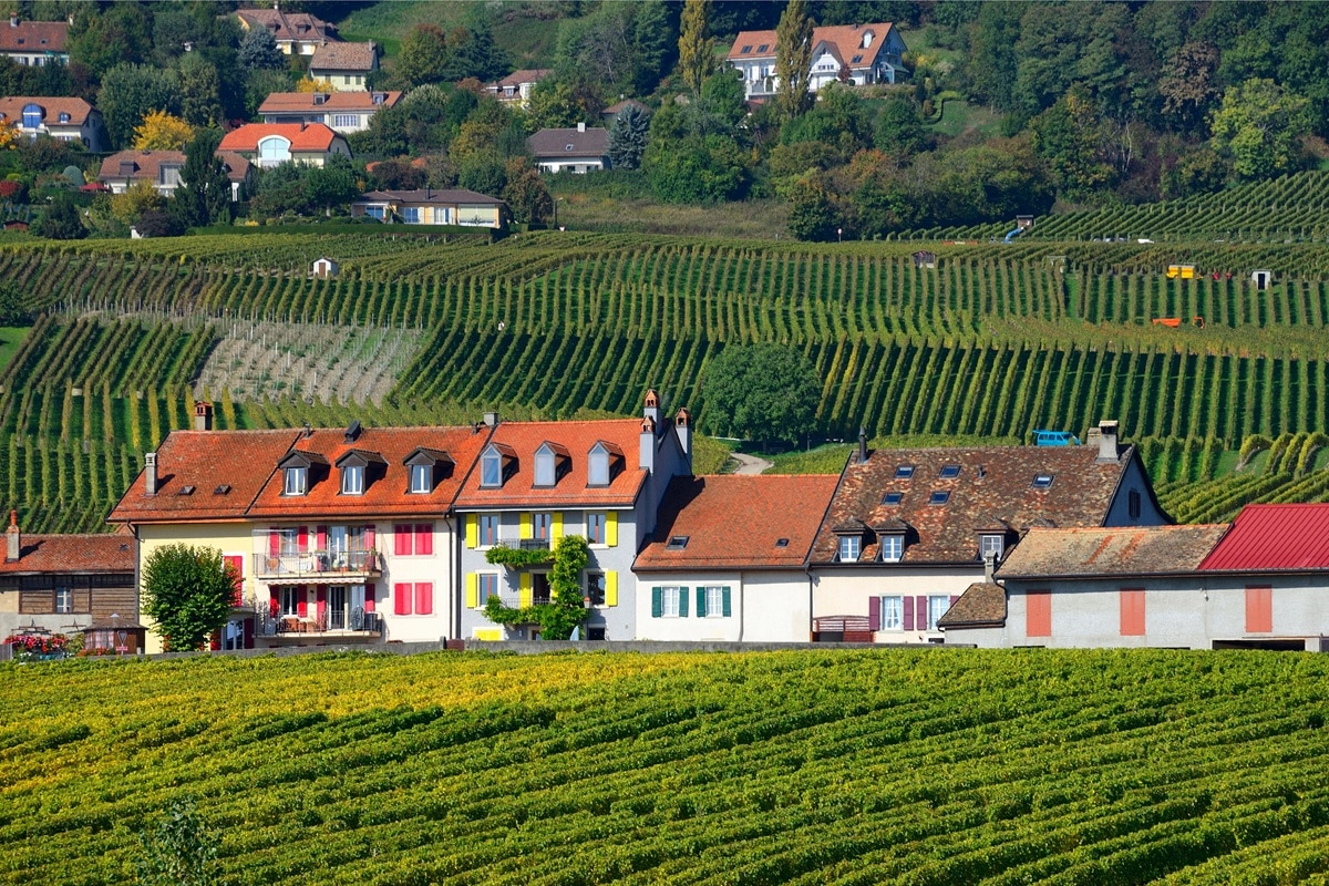 Expert immobilier en Suisse romande : comment bien choisir