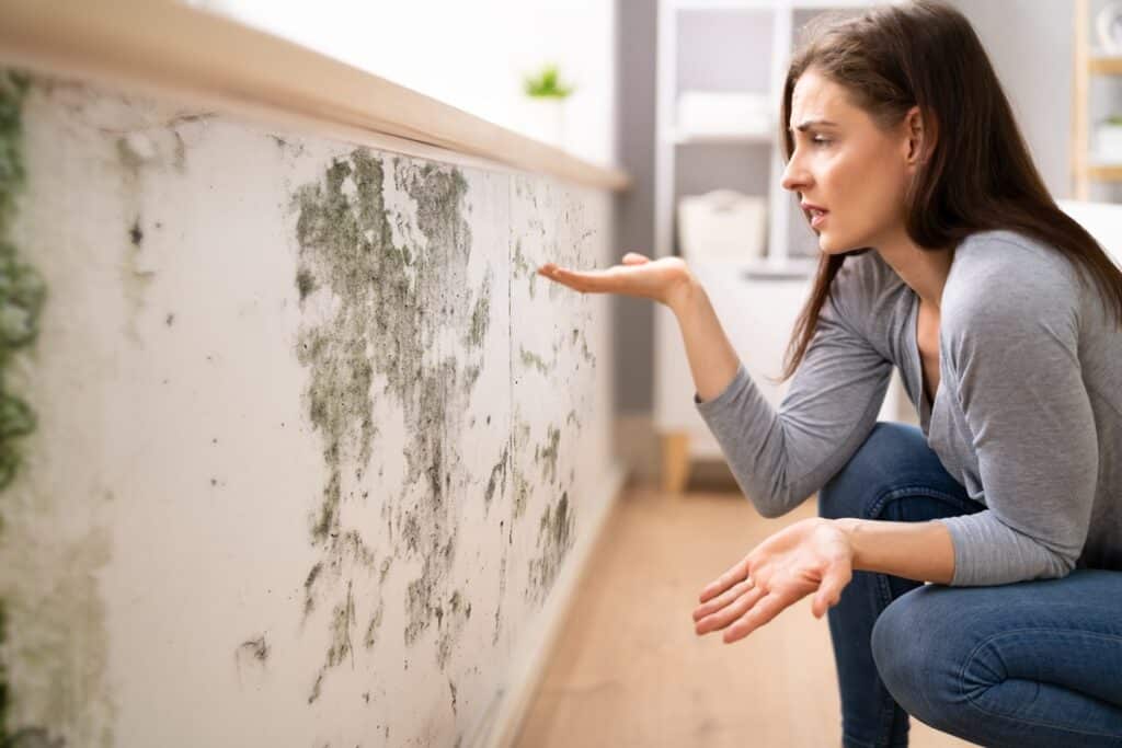 Traitement de l’humidité dans une maison ancienne