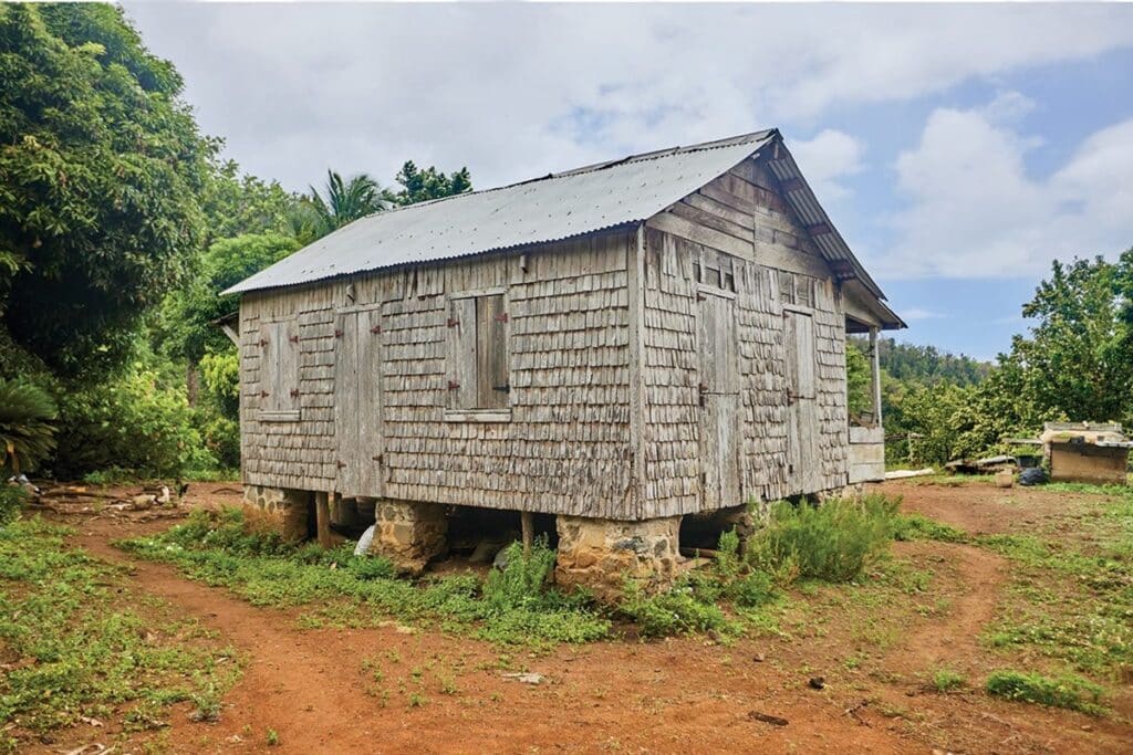 ti kai