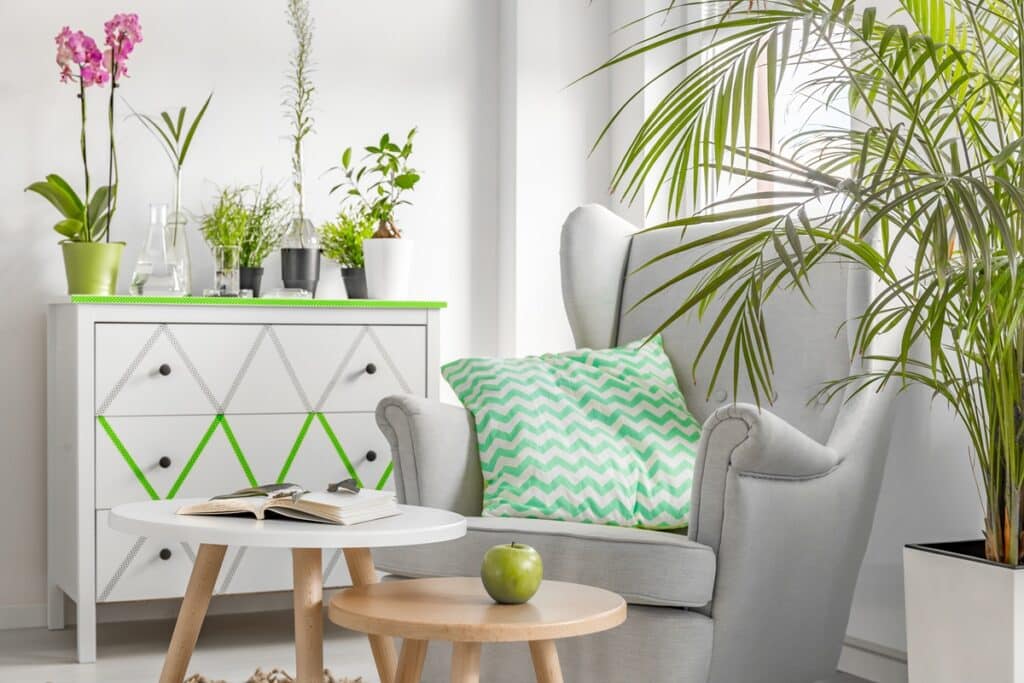 salon avec des plantes