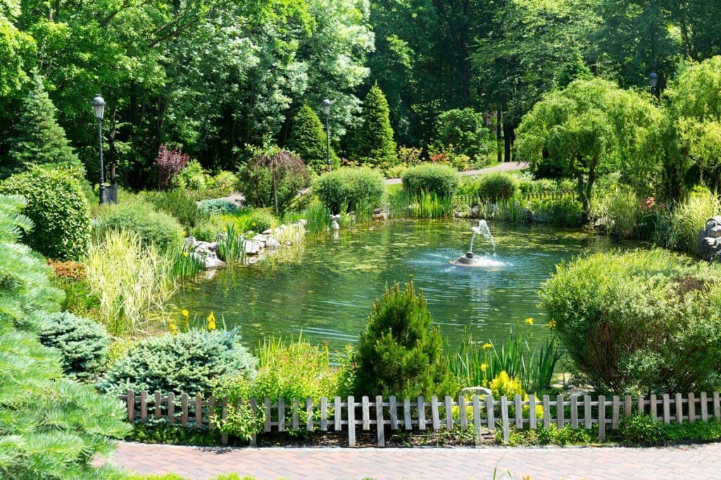 bassin de jardin avec une pompe