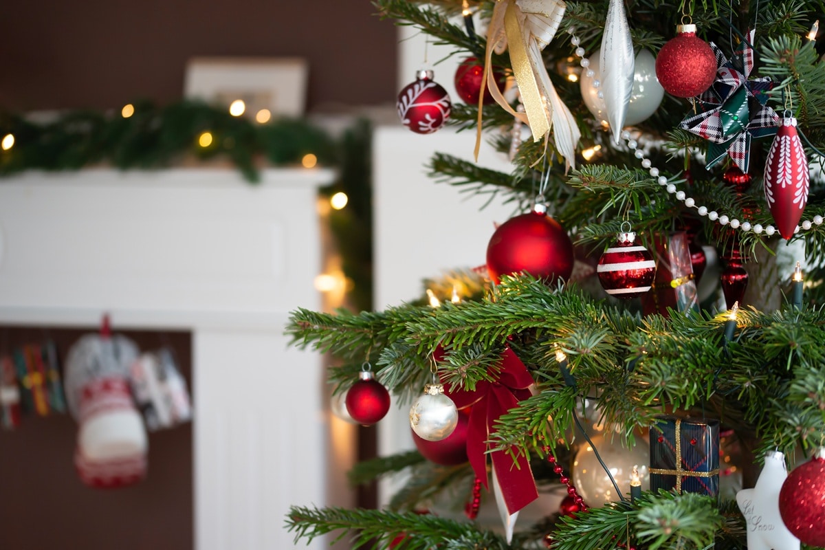 sapin Nordman décoré pour Noël