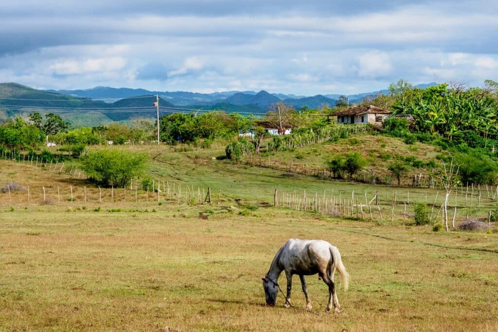 Valle de los Ingenios