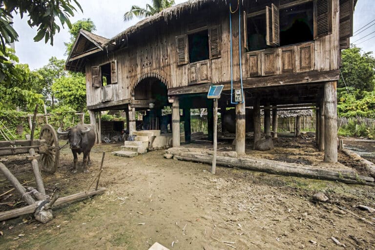 ferme birmane en teck