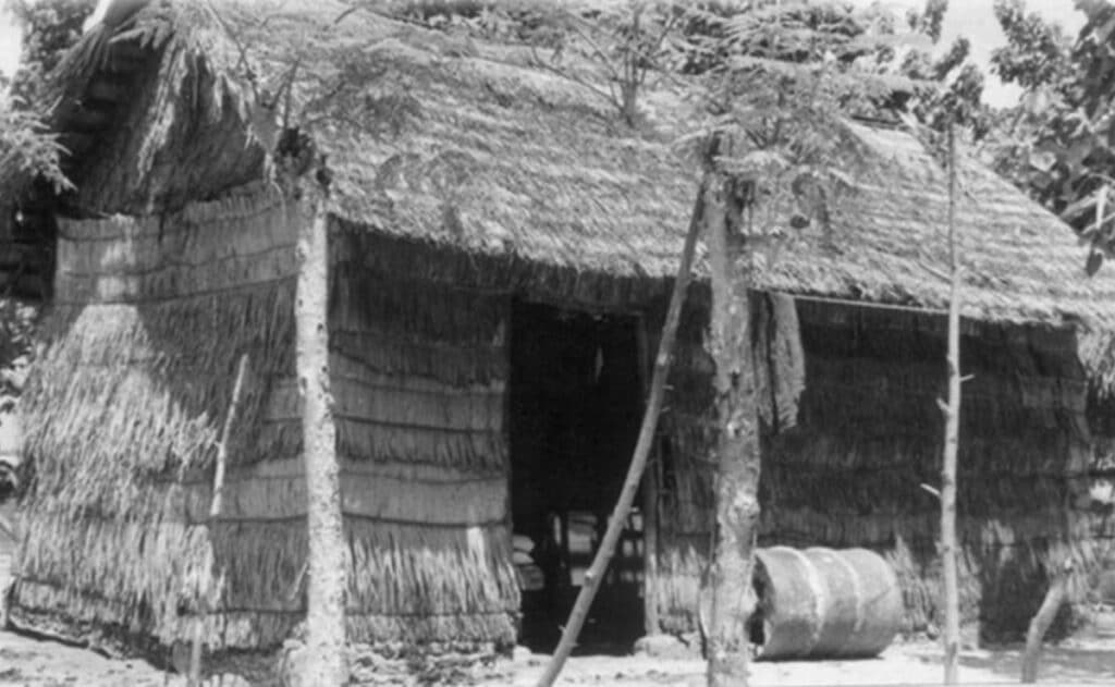 Maison traditionnelle maldivienne construite à l'aide de ressources facilement disponibles