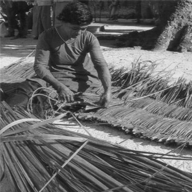 Tressage de feuilles de palmier pour créer
l'enveloppe de la maison