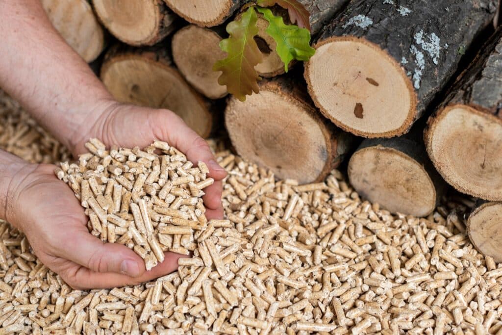granulés de bois