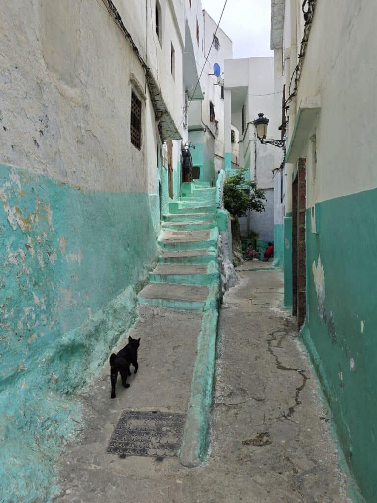 ruelle aux accents de vert dans la médina de Tetouan
