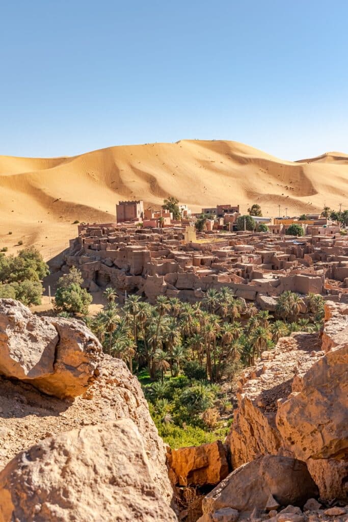 Taghit et palmiers