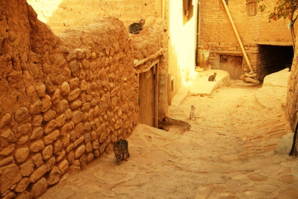 ruelle de Menaa en Algérie